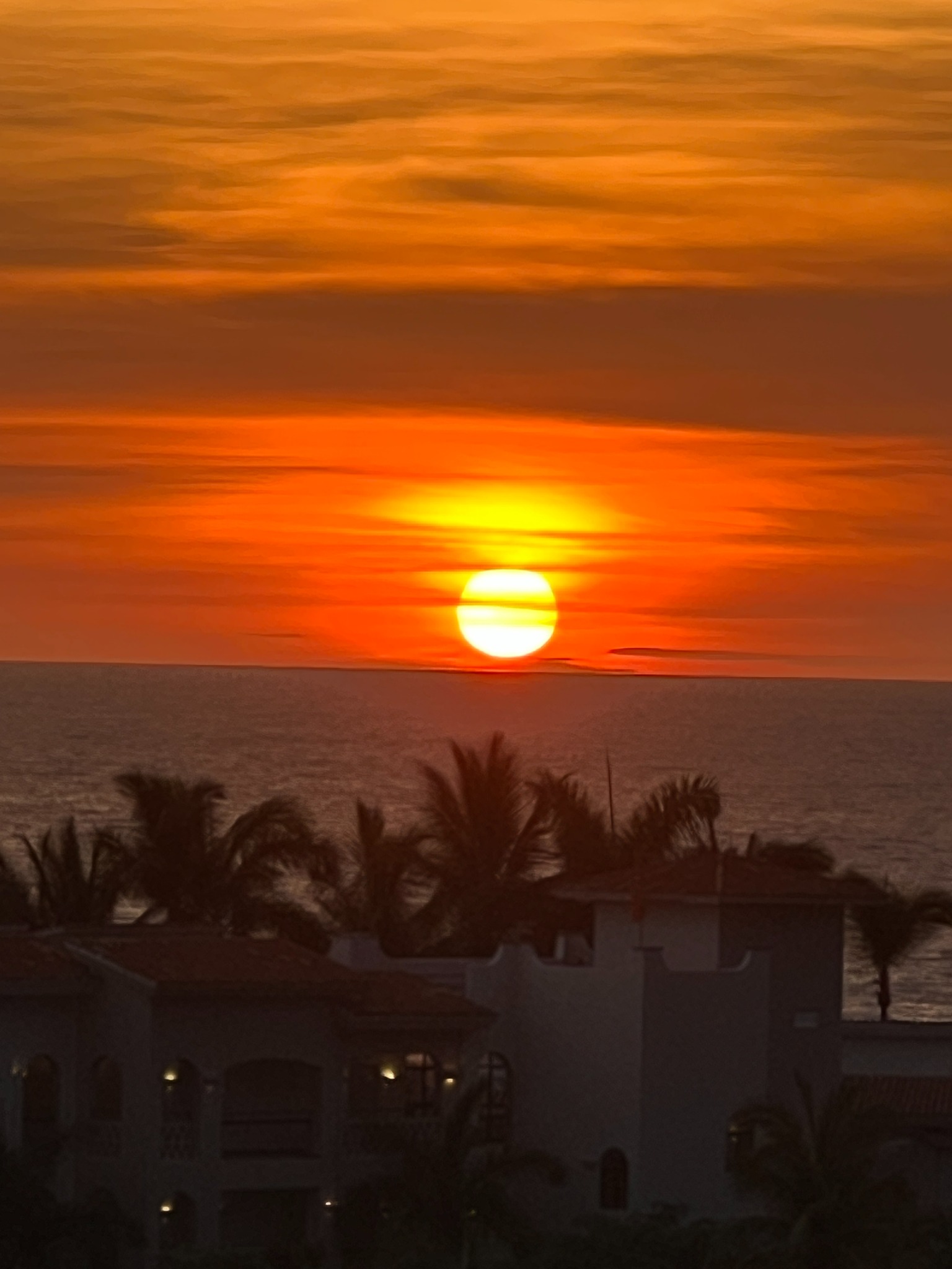 Golden sun setting over the Pacific Ocean, with palm trees silhouetted in the foreground